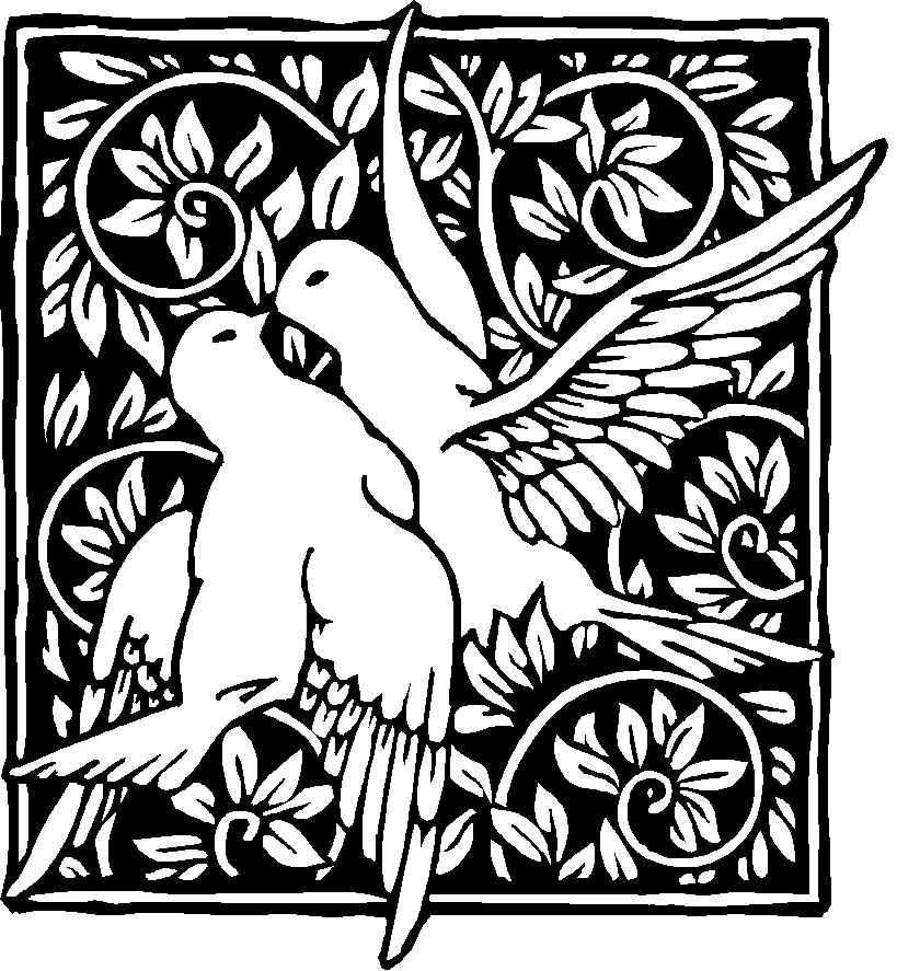 2doves.wmf (152072 bytes)